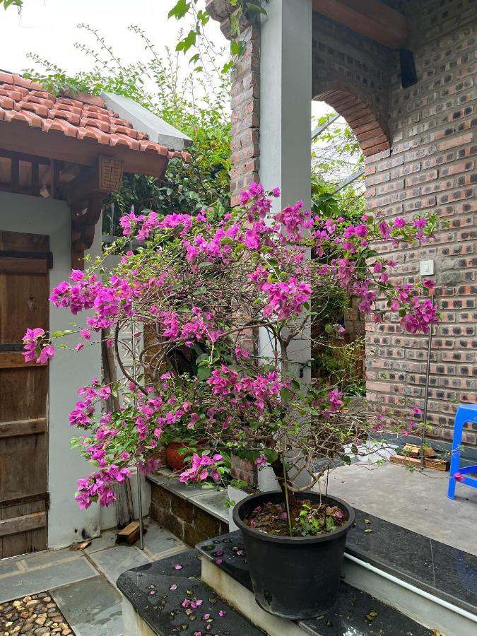 Duong Lam Village Son Tay Екстериор снимка